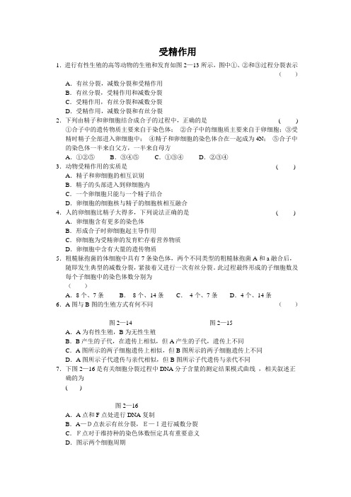 《受精作用》同步练习3(中图版必修2)