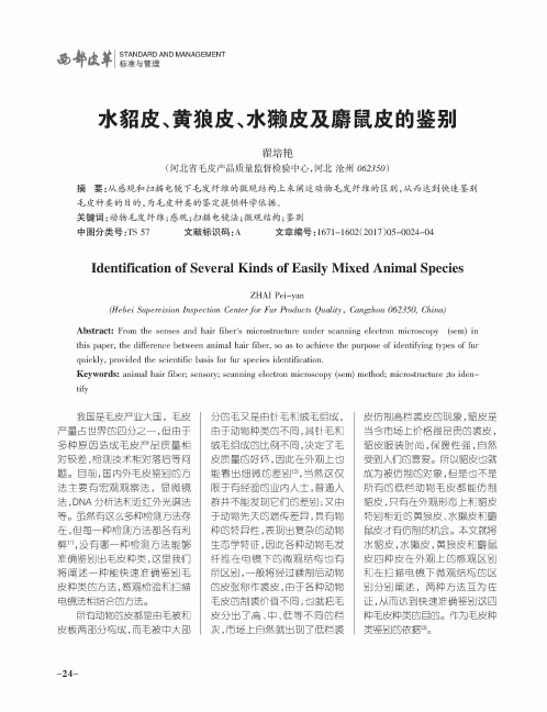 水貂皮、黄狼皮、水獭皮及麝鼠皮的鉴别