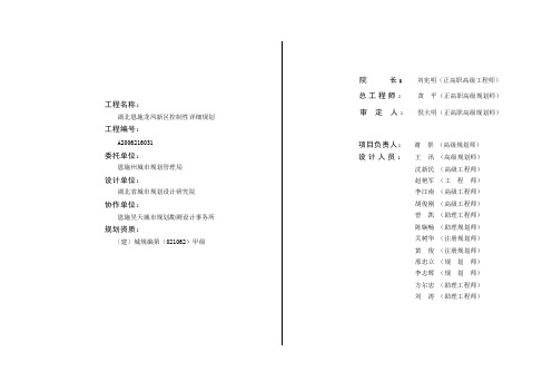 湖北恩施龙凤新区控制性详细规划