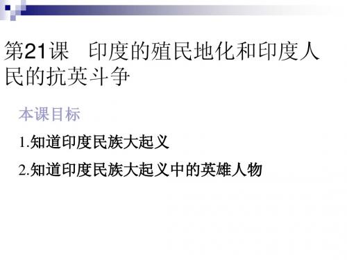 7.2印度殖民化和印度人民的抗英斗争课件(九年级华师大版上册  ppt (4)