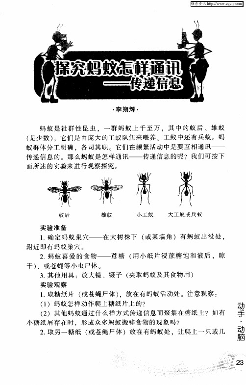 探究蚂蚁怎样通讯——传递信息