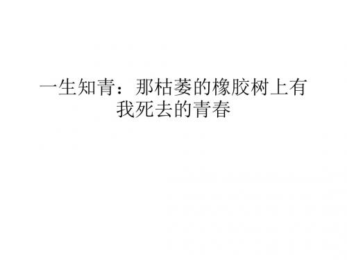 一生知青：那枯萎的橡胶树上