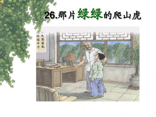 26那片绿绿的爬山虎 第二课时