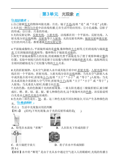 初中物理专题-光现象