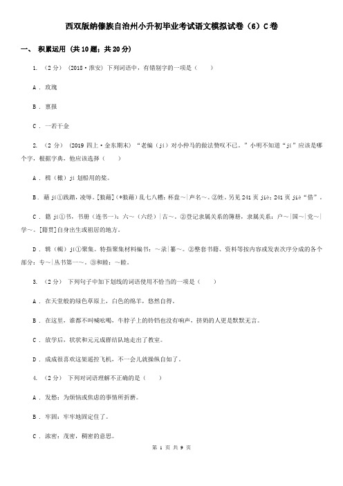 西双版纳傣族自治州小升初毕业考试语文模拟试卷(6)C卷
