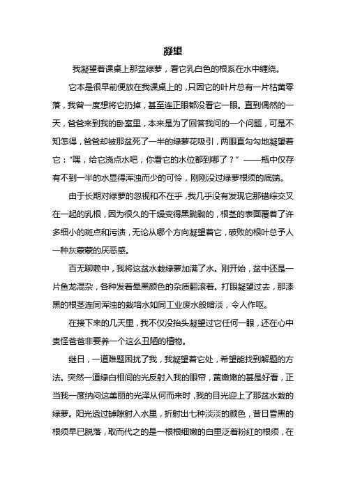 初一作文：凝望作文600字_1