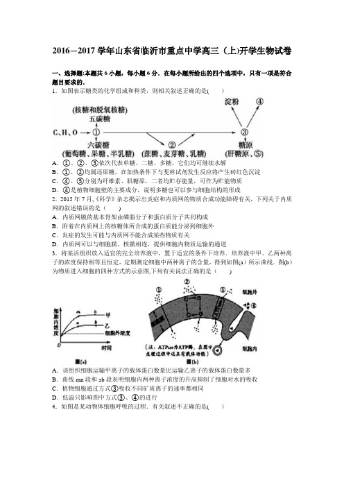 山东省临沂市重点中学2017届高三上学期开学生物试卷 含解析