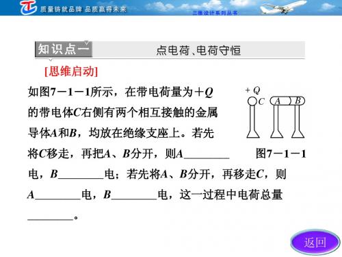 2013高三物理一轮复习课件   电场力的性质