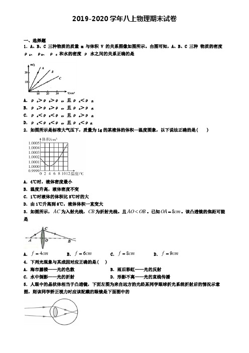 (精选3份合集)2020年天津市宁河县物理八年级(上)期末统考模拟试题