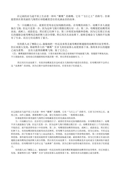 雏鹰学飞