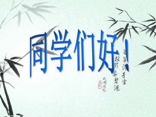 湘教版 二年级美术下册 7条纹乖乖  公开课精品课件