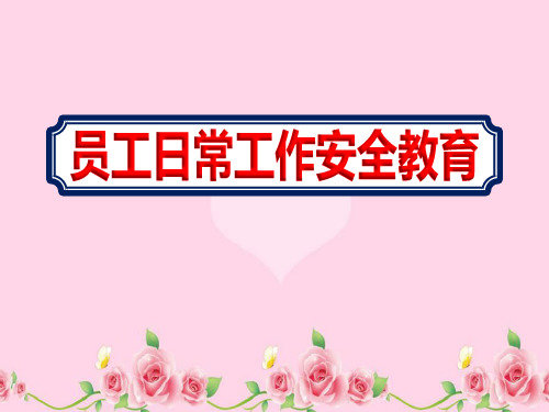 特种设备企业员工日常工作安全教育培训课件ppt