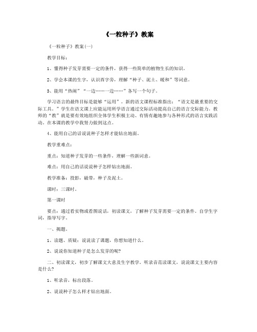 《一粒种子》教案