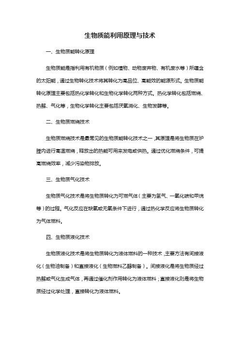 生物质能利用原理与技术pdf