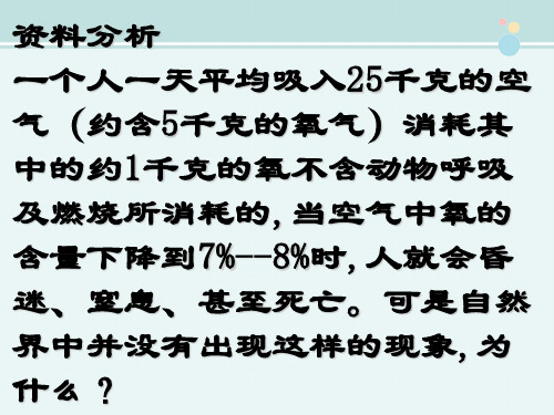 绿色植物的光合作用-完整版PPT课件