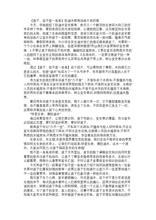 《孩子,你不是一条鱼》防溺水教育动画片观后感