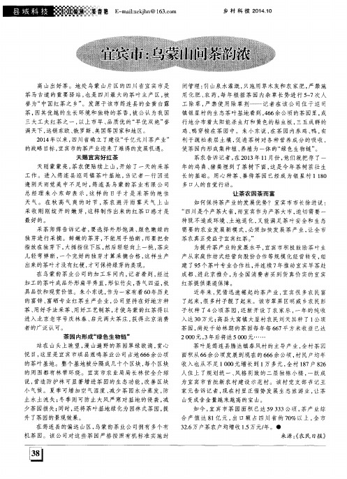 宜宾市：乌蒙山间茶韵浓