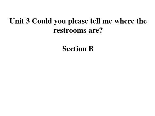 Unit 3 Section B-九年级单元复习精选课件(人教版)