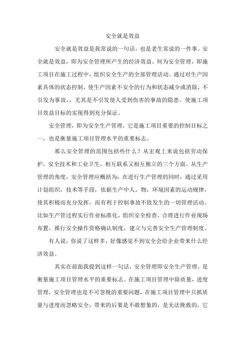 安全就是效益(演讲)