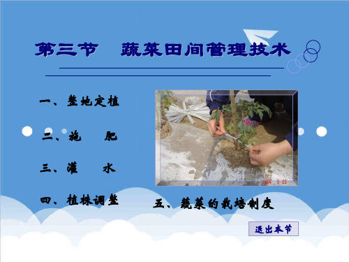 推荐-蔬菜田间管理技术20XX 精品