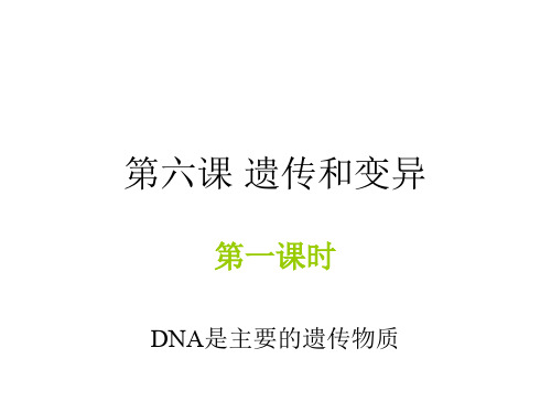 高一生物dna是主要的遗传物质1(中学课件201911)