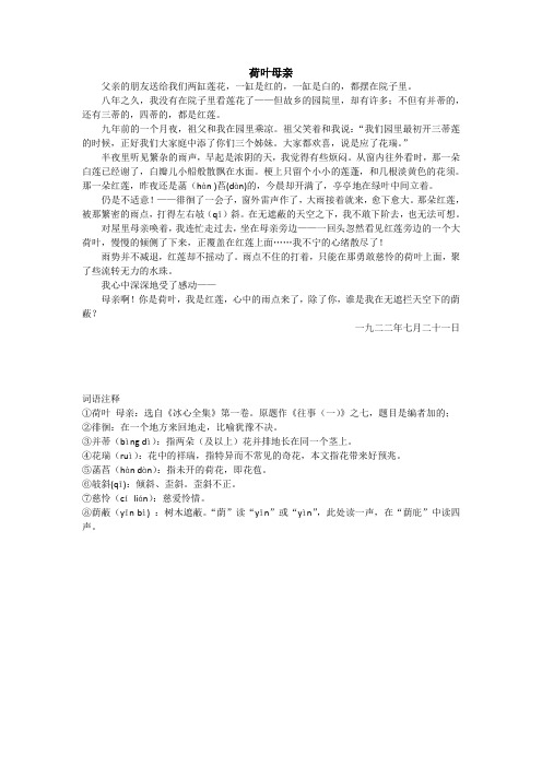 荷叶母亲