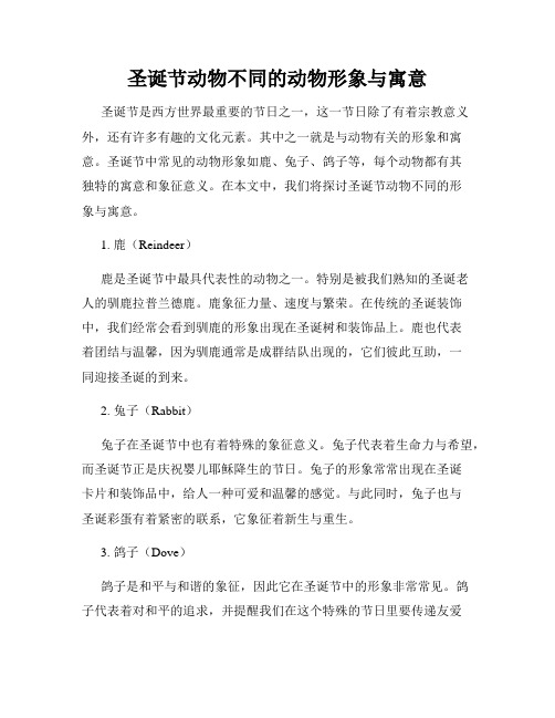 圣诞节动物不同的动物形象与寓意