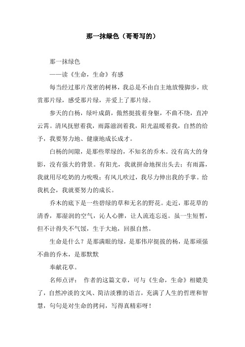 那一抹绿色(哥哥写的)