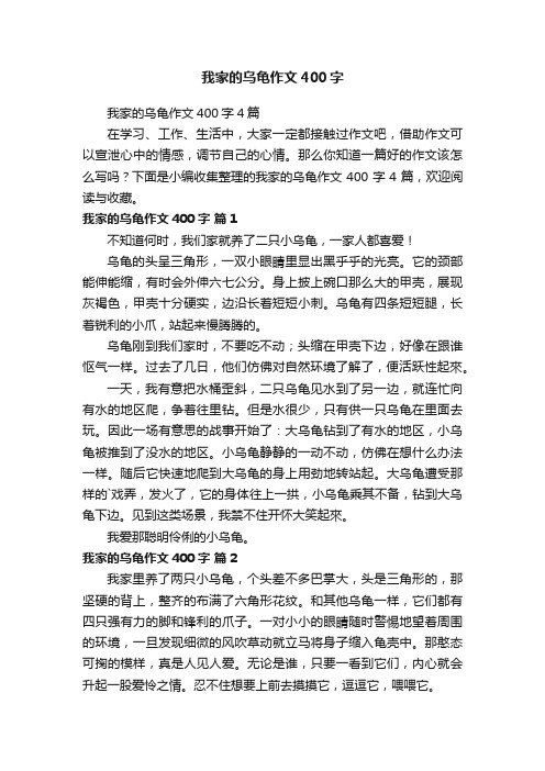 我家的乌龟作文400字