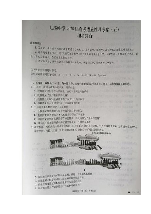 重庆巴蜀中学高三高考适应性月考卷(五)理科综合试题含答案