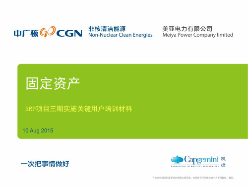 CGNEDC3_FICO_关键用户培训_固定资产_VF_20150810解读
