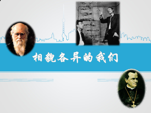最新版本六年级上册科学课件-4.5+相貌各异的我们｜教科版(共13张PPT)