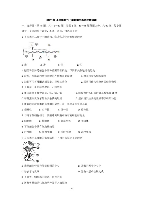 高二上学期期中考试生物试题 Word版含答案