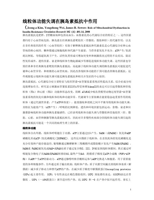 线粒体功能失调与胰岛素抵抗