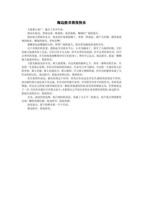 初一作文：海边拾贝我很快乐
