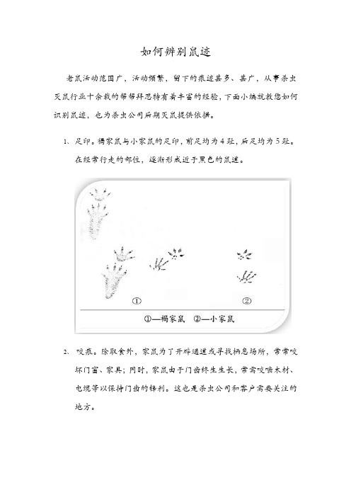 如何辨别鼠迹