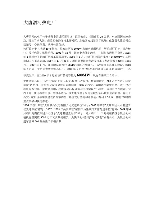 大唐陕西各公司和电厂状况