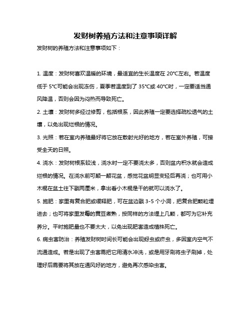 发财树养殖方法和注意事项详解