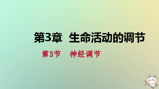 八年级科学上册第3章生命活动的调节3.3神经调节3.3.3反射与反射弧练习课件新版浙教版