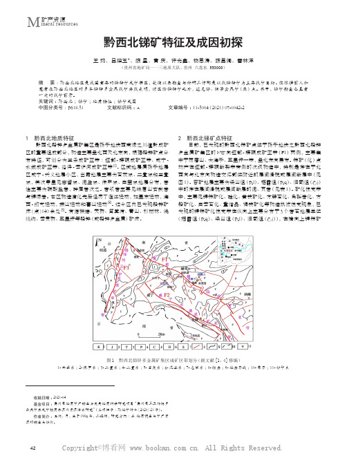 黔西北锑矿特征及成因初探