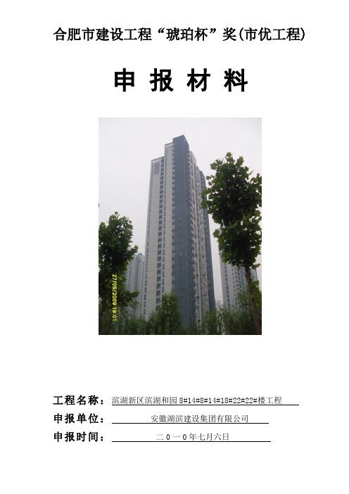 合肥市建设工程“琥珀杯”奖(市优工程)申报材料(完整)