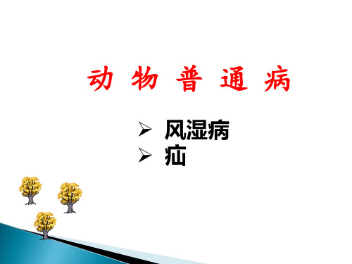 动物普通病-风湿病、疝