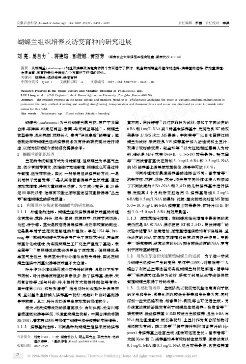 蝴蝶兰组织培养及诱变育种的研究进展