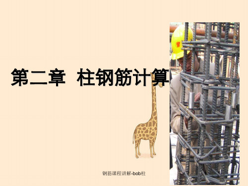 钢筋课程讲解-bob柱
