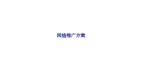 网络推广方案