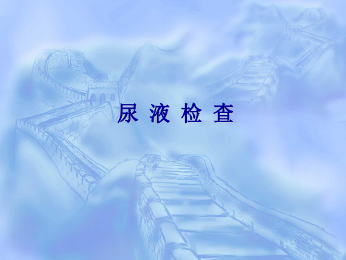 尿液检查和肾功能检查详解