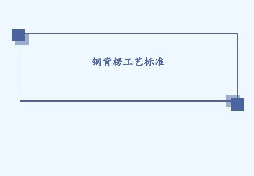 钢背楞工艺标准 ppt课件