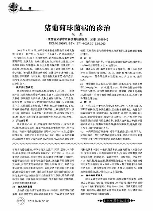 猪葡萄球菌病的诊治