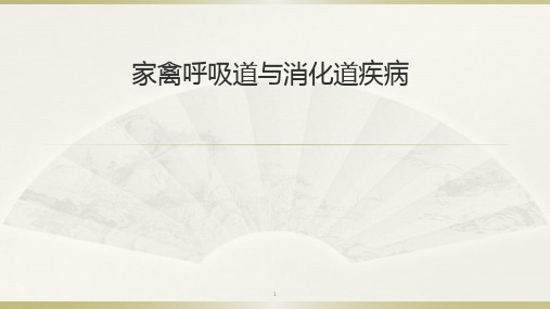 家禽呼吸道与消化道疾病