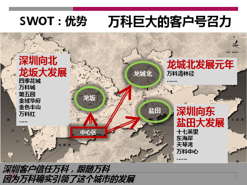 惠州资料科双月湾项目SWOT分析.ppt